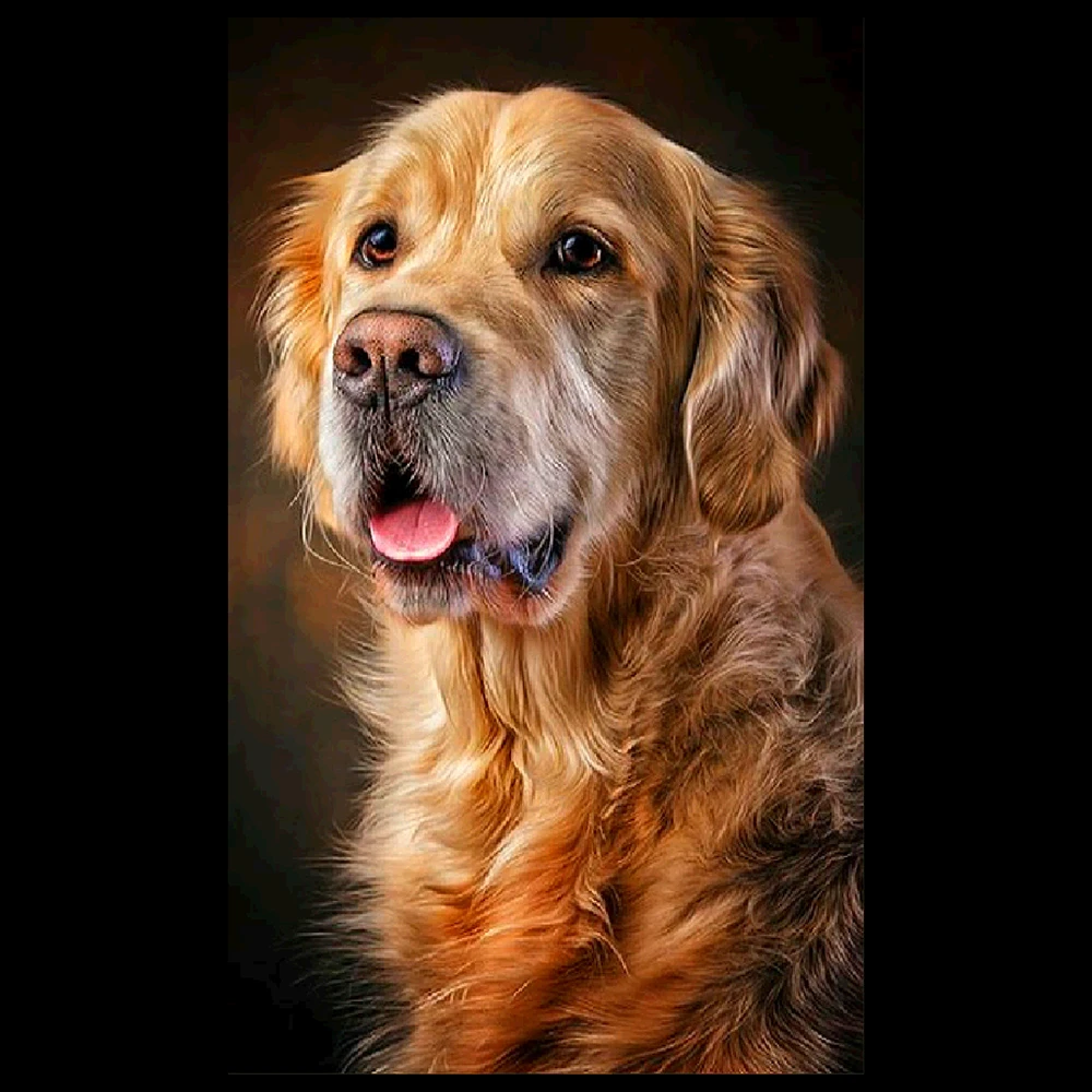 2019 Full Square Diamond Embroidery 5D DIY Painting Animal Dog Cross Stitch Christmas Gifts Home decor | Дом и сад
