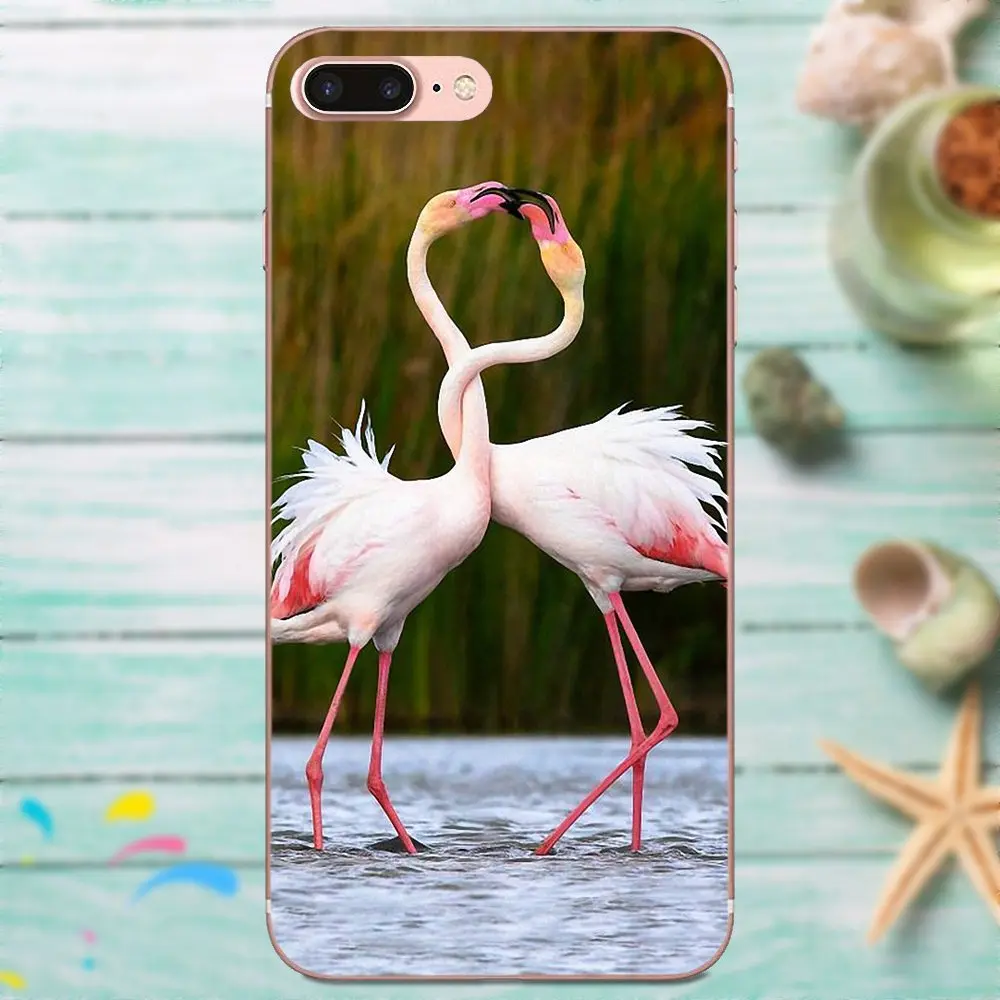 Мягкий ТПУ милый чехол для Galaxy J1 J2 J3 J330 J4 J5 J6 J7 J730 J8 2015 2016 2017 2018 мини про Фламинго Мир
