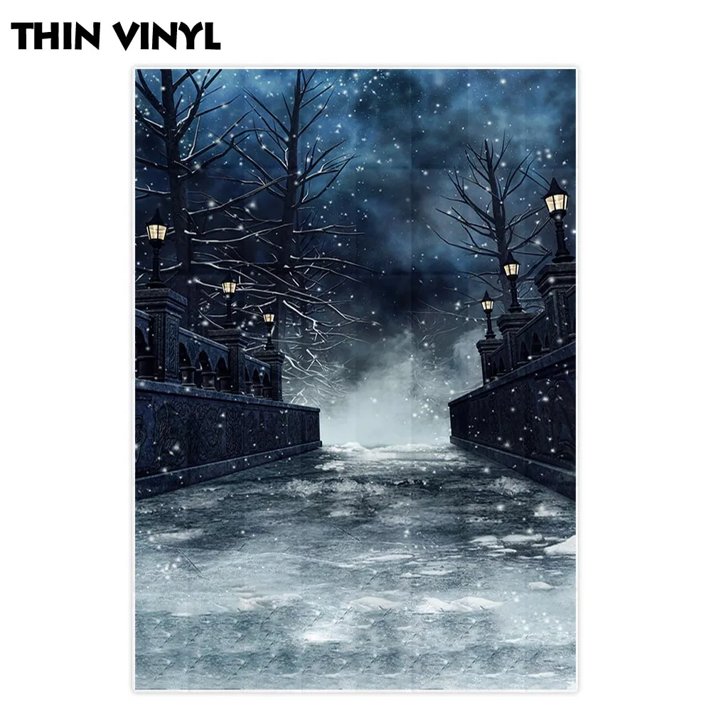 Allenjoy Профессиональный фон для фотосъемки зимний пейзаж снежный мост готические