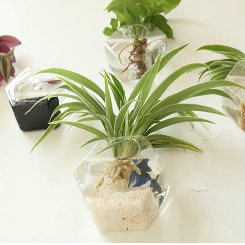 Стекло ваза для цветов украшение дома Hexago decoratives аудио рекордер сосудисто