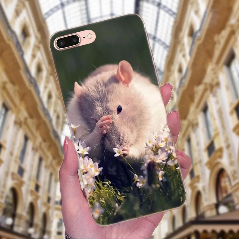 Высококачественные классические Чехлы для мобильных телефонов Rat Classic Apple iPhone X XS