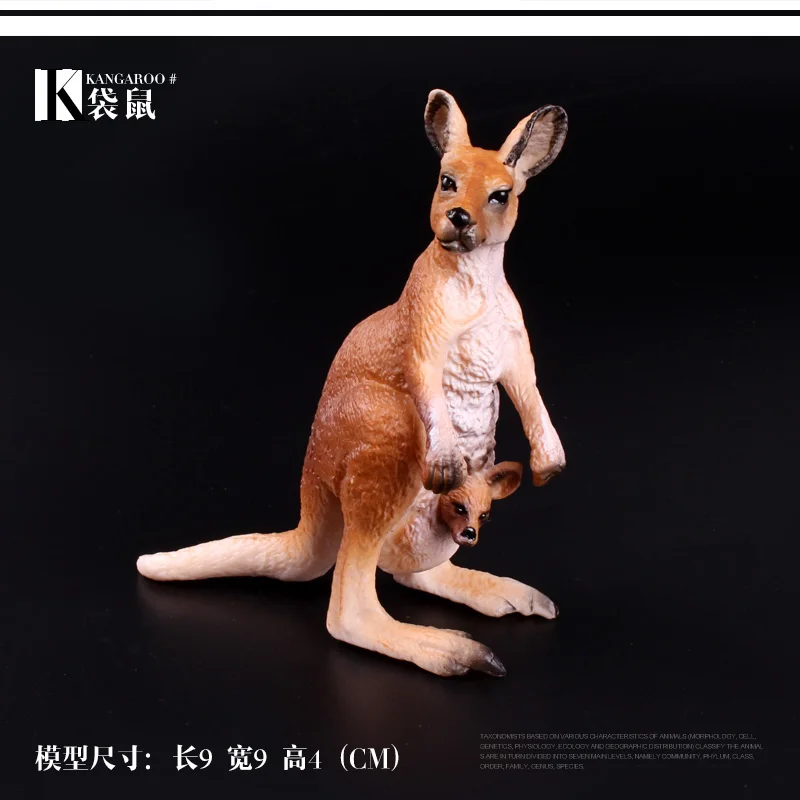 Simulation Solid Animal Model Toy Set Wild Zoo Kangaroo Roo Bandicoot Wildlife Zoology Figurine Gift Present Souvenir display | Дом и сад