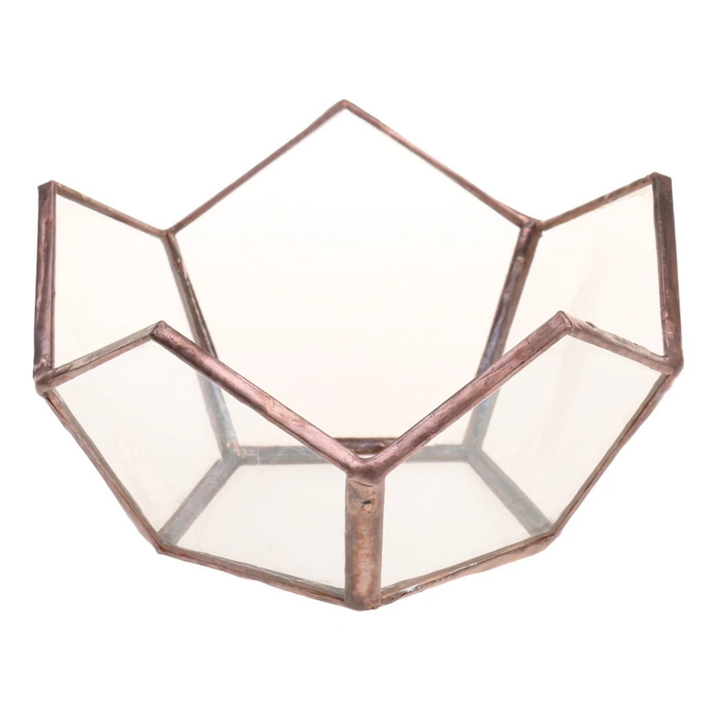 Современный открытый стеклянный металлический геометрический Террариум