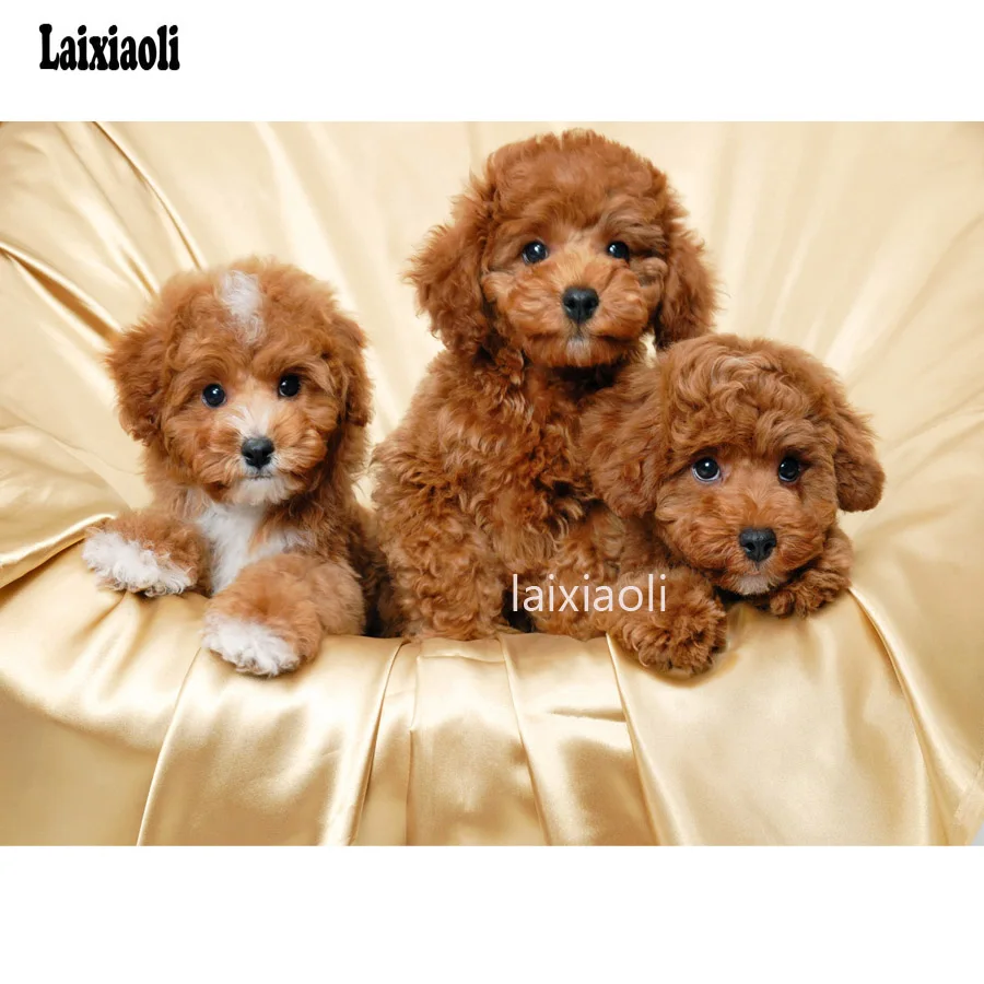 

5D Diy Diamond Painting poodle dog 3d,Stitch Cross,full Diamond Embroidery cute puppy 5d Diamond Mosaic Stickers Home Decoration