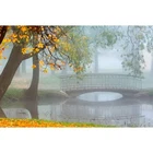 Алмазная вышивка с квадратнымикруглыми стразами, картина 5D сделай сам с красивым изображением Риверсайда, стразы, мозаичный Декор