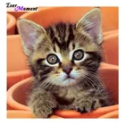 3D Алмазная вышивка картины-наклейки сделай сам декоративный Рисунок со стразами мозаика 5D Вышивка крестом узор Алмазная Вышивка Кот ASF427