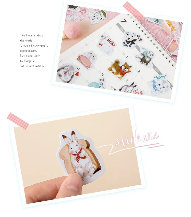45 шт./кор. Kawaii принтом «кролик», «енот домашних животных Творческий канцелярский клей наклейки этикетки пуля аксессуары для журналов дневник в стиле Скрапбукинг