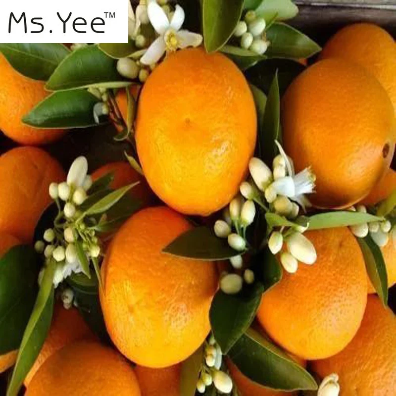 100% натуральные чистые эфирные масла Neroli (масло оранжевого цветка) неразбавленный