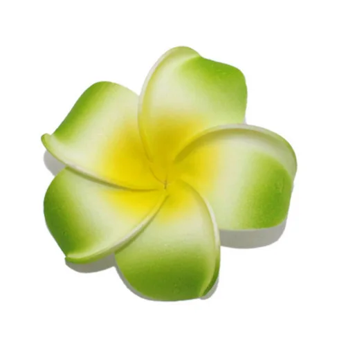 100 шт Горячая продажа 9 видов цветов 4 см Пена Frangipani искусственная Плюмерия цветы