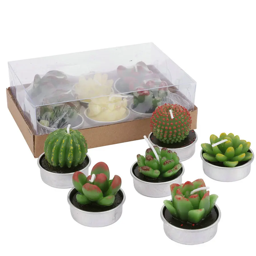 12 шт./компл. кактус чайный свет свеча длинное горение суккуленты подсвечник