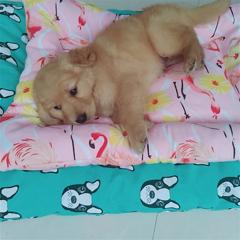 2021 Зима Pet Одеяло милые карамельного цвета Теплый сна коврики твердые кровати Pad