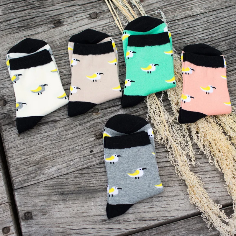 10 Пар/лот 2016 Новых мужчин и женщин носки оптом мода мультфильм чайка|fashion church|fashion