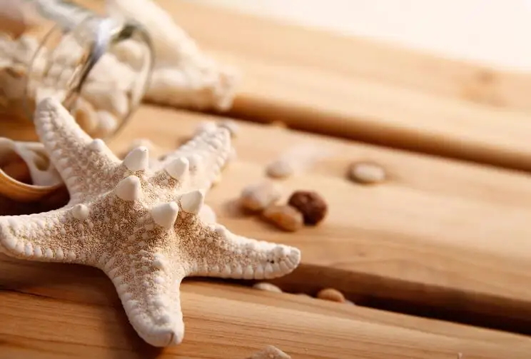 4 7 см белый натуральный воздух сушеная Морская звезда пляж тематический