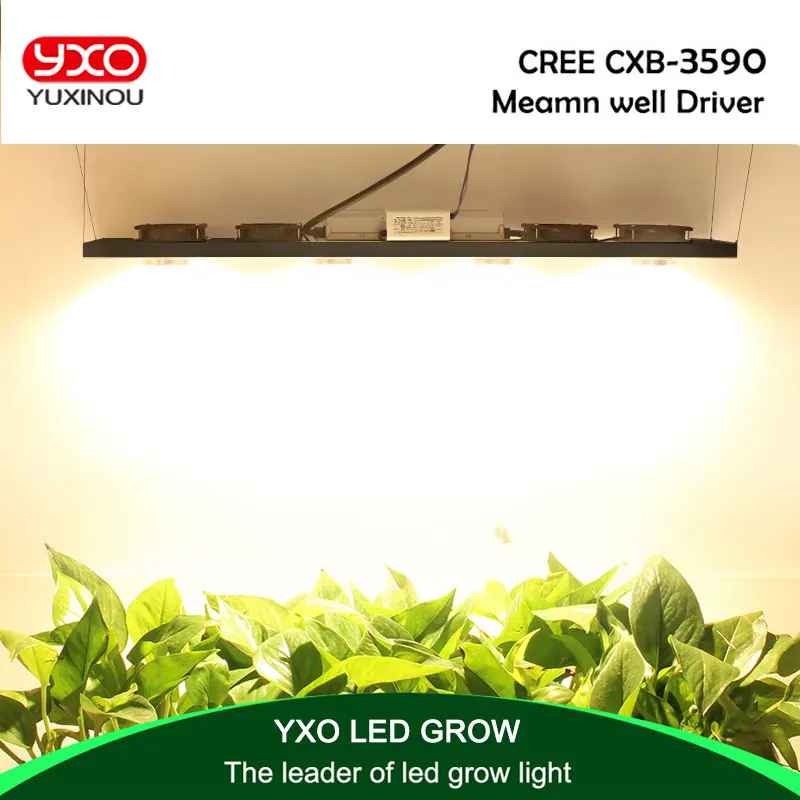 

Dimmable CREE CXB3590 400W COB LED Grow Light Full Spectrum 45000LM = HPS 600W Growing Lamp Indoor Plant Growth Lighting Panel