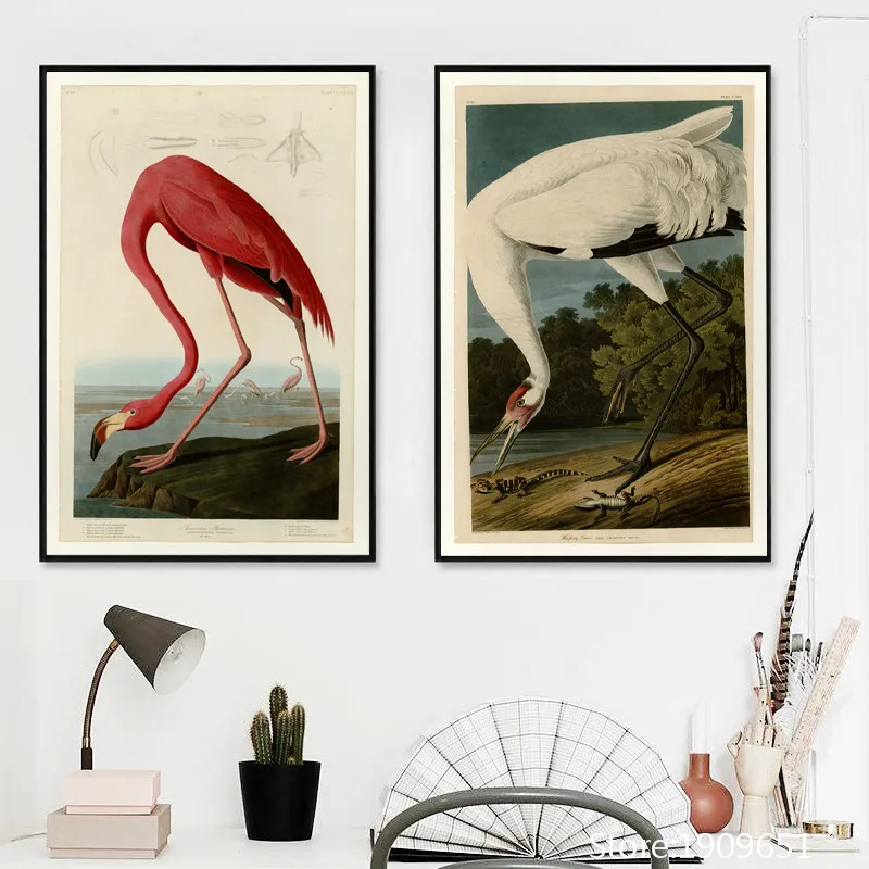 Хлопковая картина без рамки Реалистичная Audubon морская птица холст печать маслом