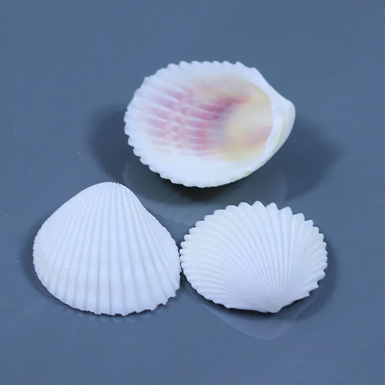 5 шт. белый натуральный скорлупа из кокосового ореха подарочные украшения для