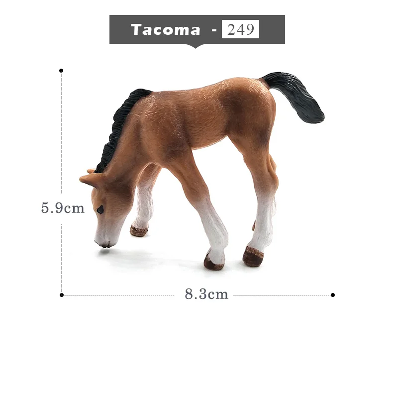 Tacoma Моделирование животных модель лошади фигурки детей домашний декор Фея Украшения Сада аксессуары фигурка подарок для детей игрушка - Цвет: Tacoma