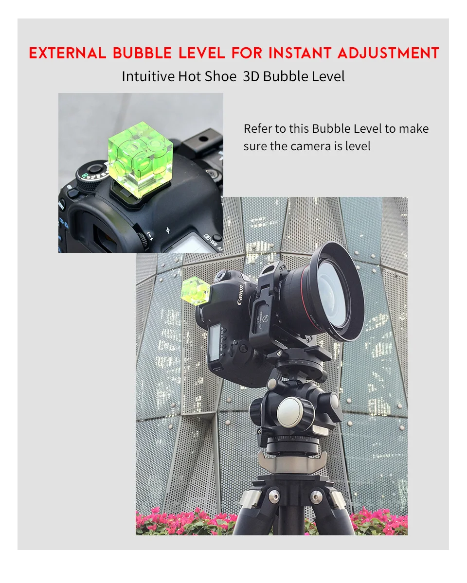 Sunwayfoto TS-E24 штатив Canon dslr камера аксессуары TS-E17/TS-E24 наклон сдвиг кронштейн объектива быстросъемная пластина arca swiss