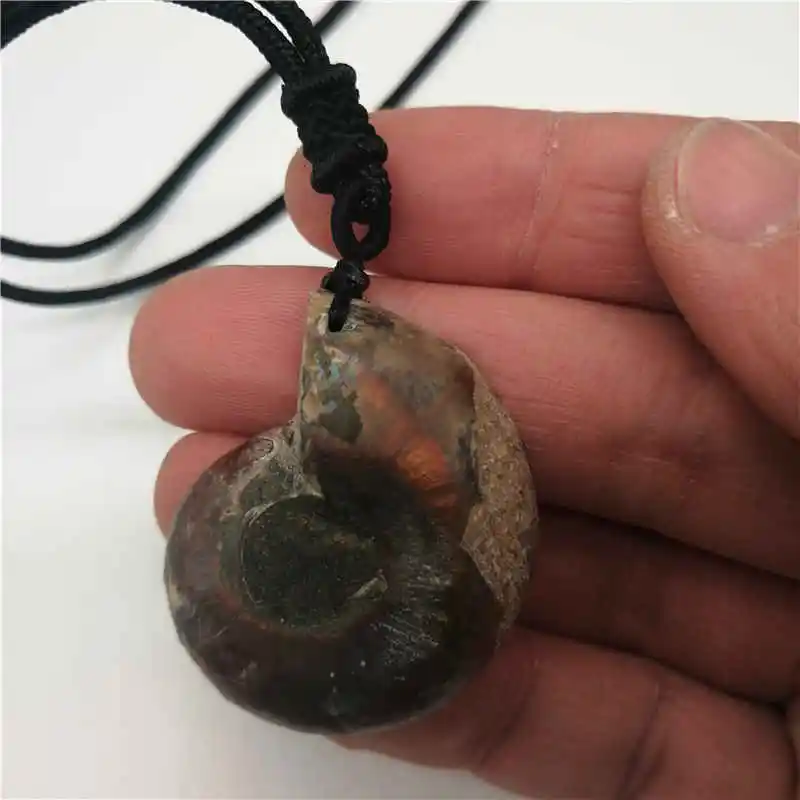 Красивый натуральный камень окаменелости аммонита морская раковина подвеска