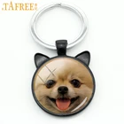 Милый брелок TAFREE с улыбающимся померанским шнауцером, брелок с изображением шнауцера, миниатюрный брелок с собакой, кольцо-держатель, модель CN780
