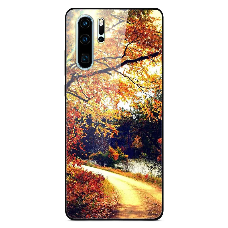 14 Чехол для huawei P30 Pro, Жесткий Чехол из закаленного стекла, силиконовая мягкая рамка, разноцветный чехол для телефона huawei P30Pro P 30 P30, чехол - Цвет: 14