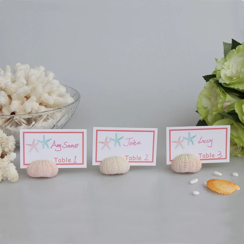 Бесплатная доставка супер красивое белое место для морской моревки держатель