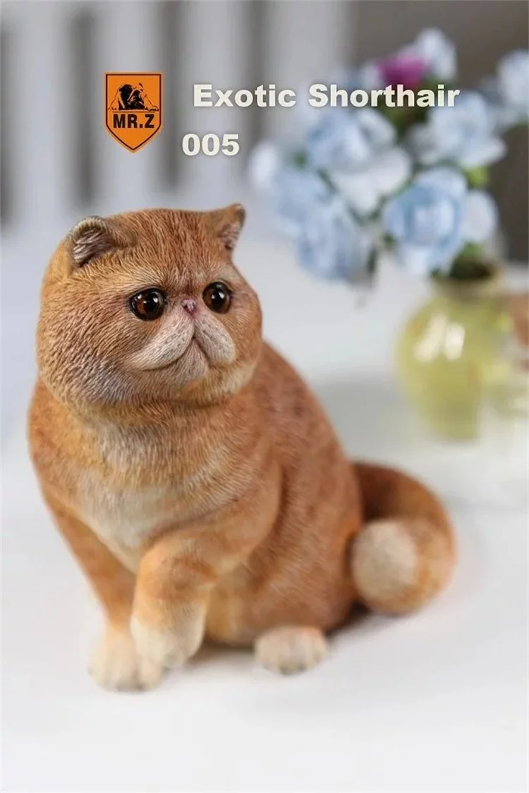 MR. Z серия «животные» № 8 1/6 экзотические короткошерстной кошки персидская кошка Гараж Комплект для детей возрастом от 1" фигурку сцена DIY украшения автомобиля