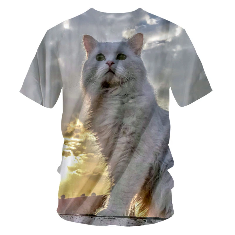 Мужская футболка CJLM с 3D-принтом заката летняя круглым вырезом и милым небесным