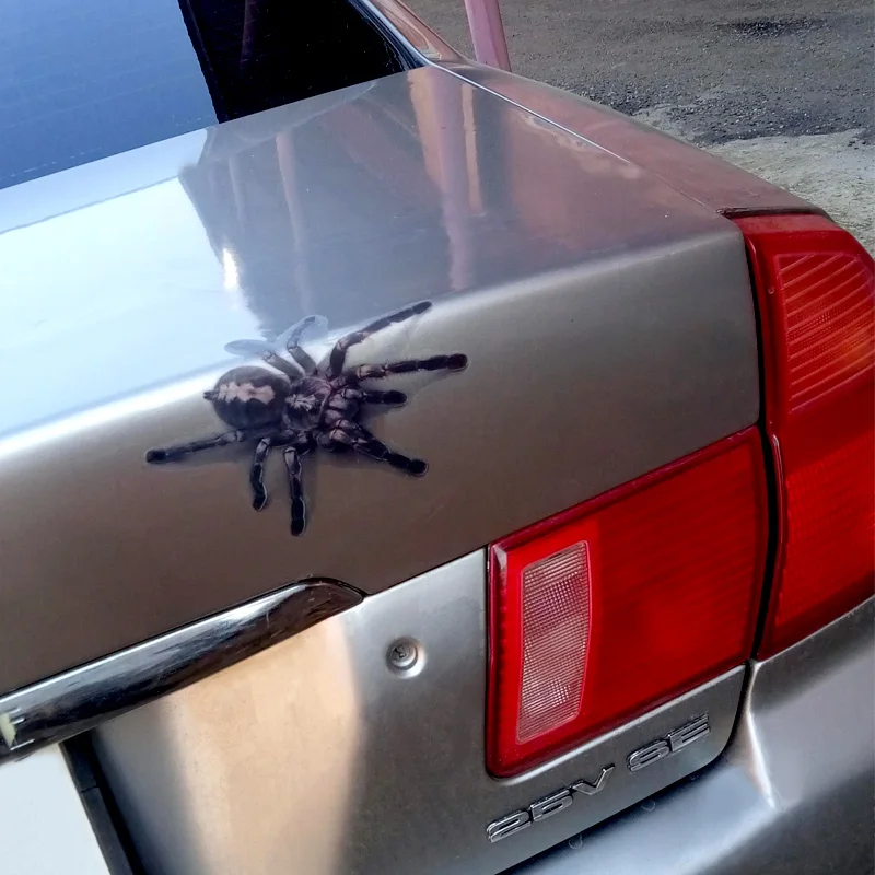 3D Автомобильная наклейка животные бампер паук Гекко скорпионы автомобильный