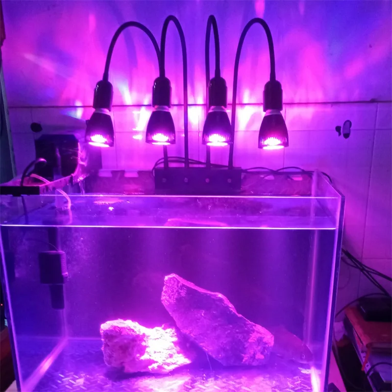 

full spectrum led grow light aqurium lamp for plant grown indoor box algae