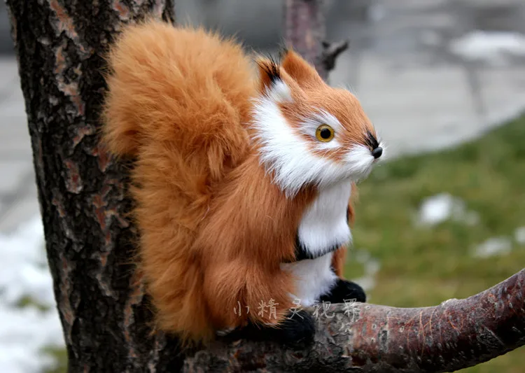 Чучело 17x18x8 см коричневая игрушка белка кукла эмуляции k0081|stuffed animal|squirrel toyanimals stuffed