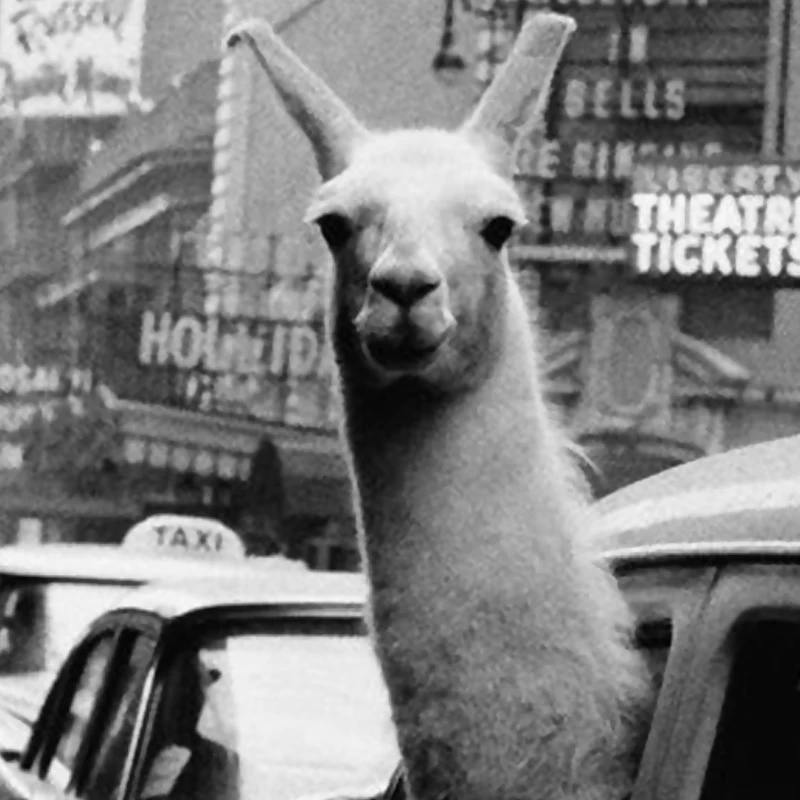 Винтаж Нью Йорк плакаты и принты монохромный холст настенная живопись Альпака