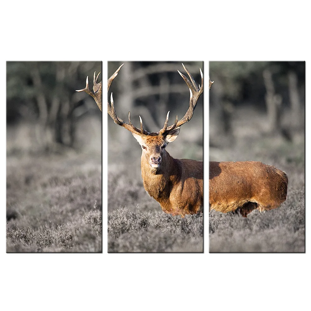 Холст печать дикое животное олень настенная живопись HD Печать лося Картина 3 шт