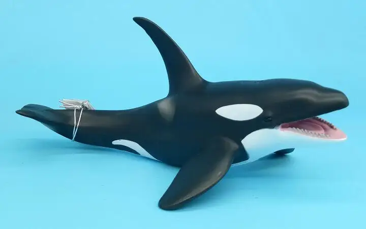 Collecta Sea life Orca Killer kitales Классические игрушки для детей мальчиков модель животного