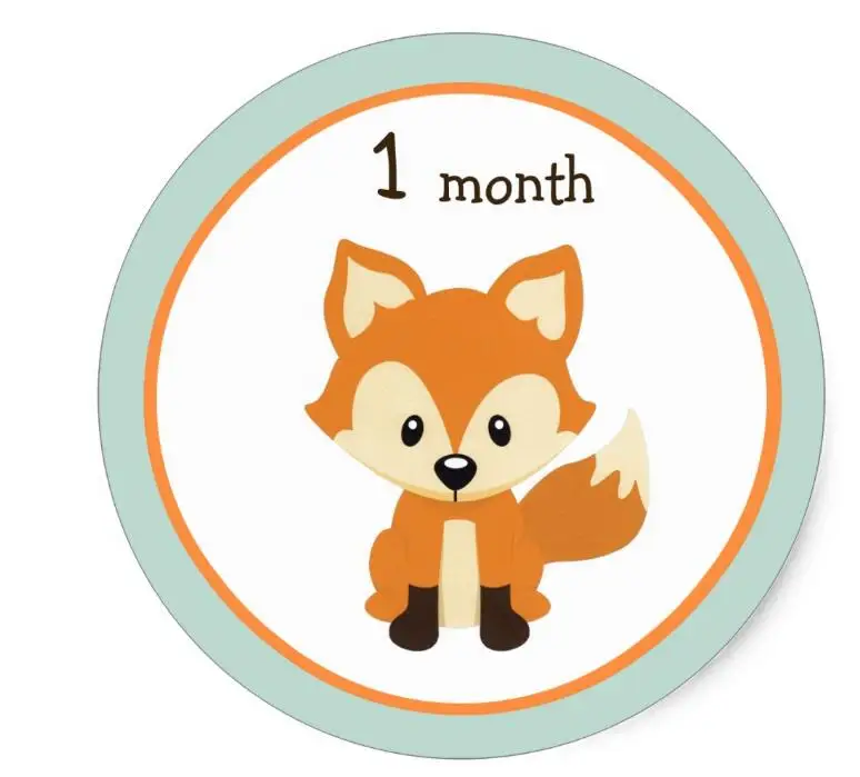 

1.5inch Woodland Fox Green Monthly Milestone Stickers