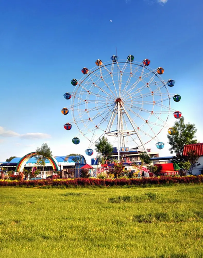 

5x7ft Lawn Ferris Wheel Photography Backdrops Photo Props Studio Background