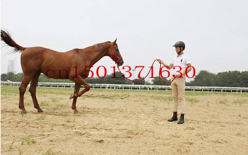 2.0 м конный верховая езда уздечка верховой езды показать умение жгут никаких