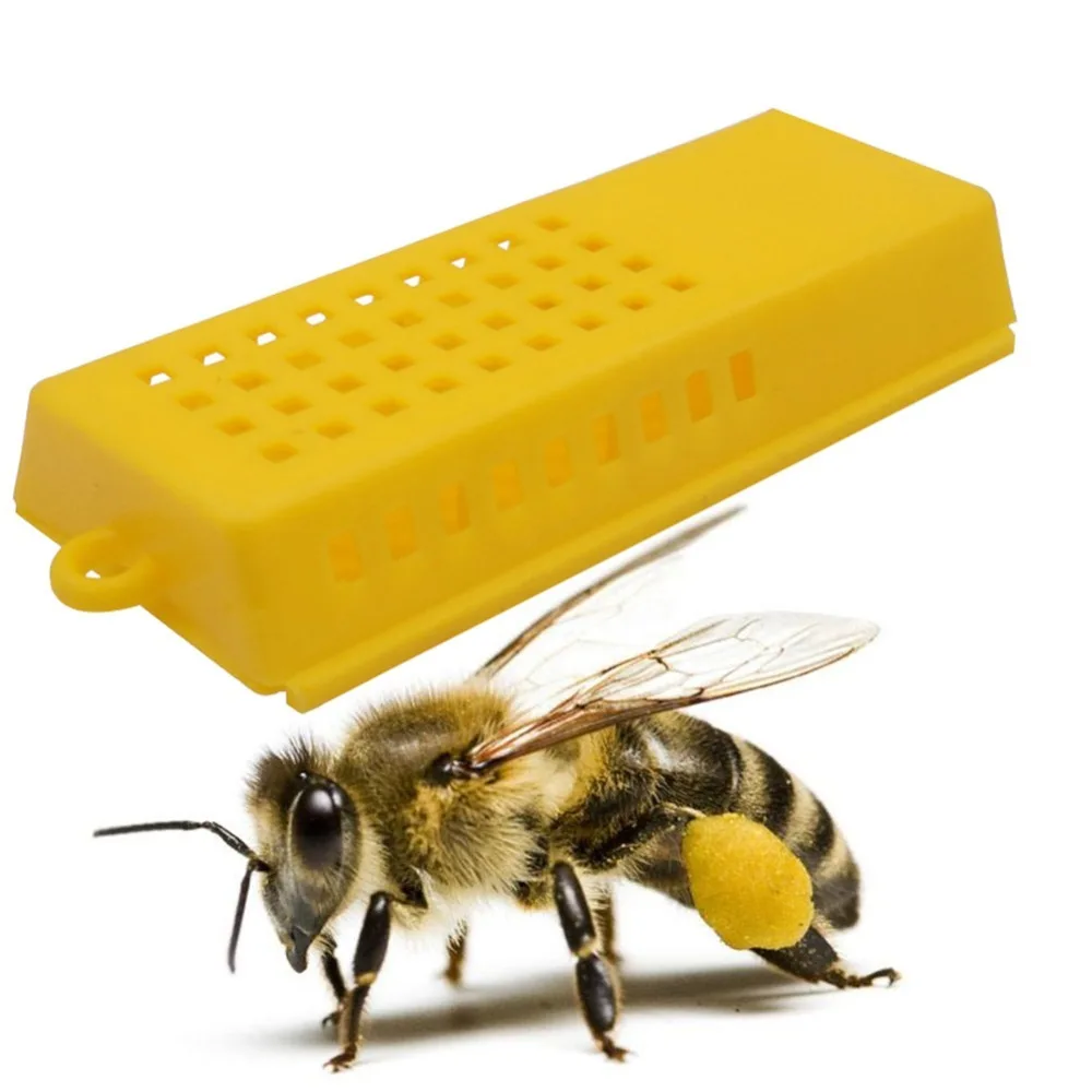 Bee клетка транспорта 10 шт. 80X35X15mm Пчеловодство пчелиные инструменты пчела Queen