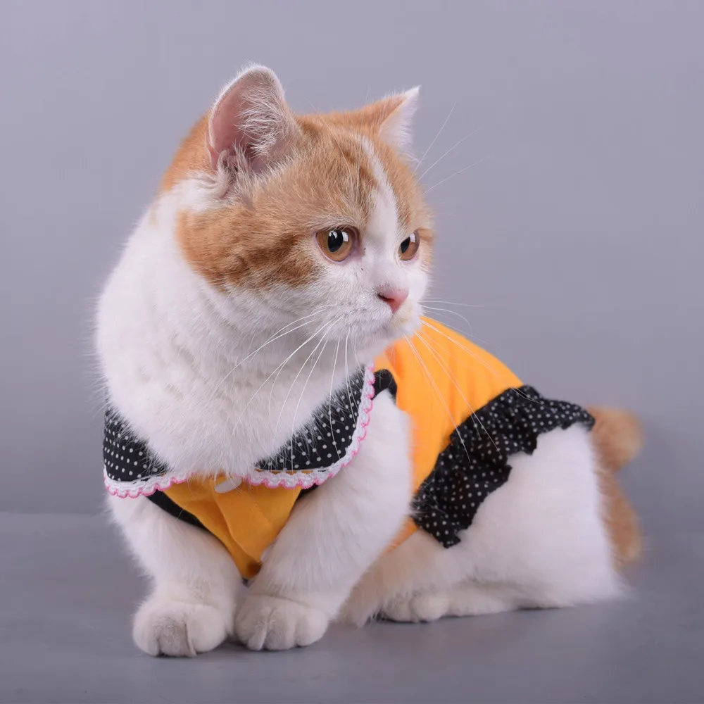 Платье с кукольным воротником и юбкой сезон весна-лето костюмы для собак одежда