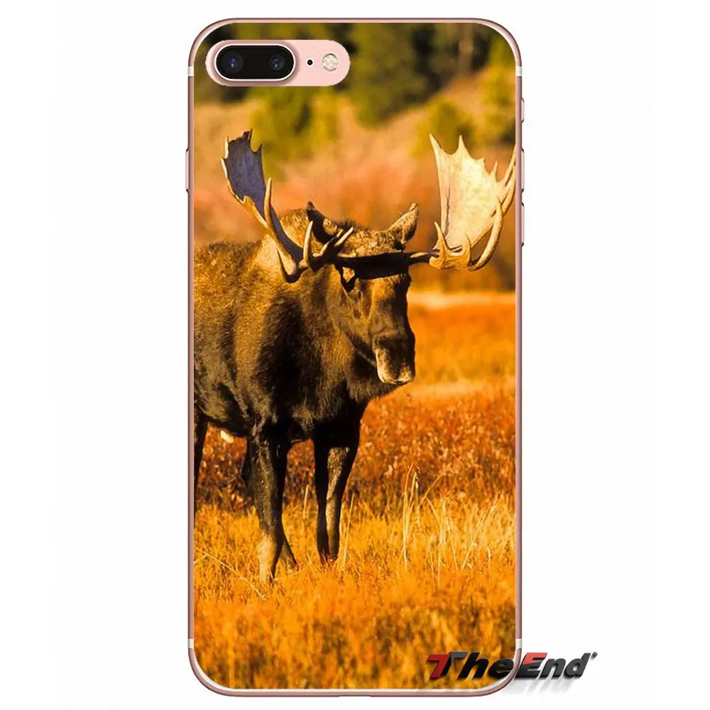 Силиконовый ТПУ чехол для Huawei G7 G8 Ascend P7 P8 P9 Lite Honor 4C 5X 5C 6X Mate 7 8 9 Y3 Y5 Y6 II Pro Animal Alaska Bull