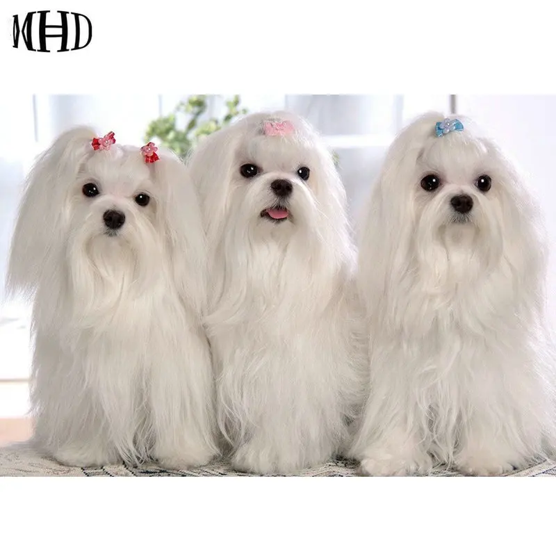 

MHD Pretty Dog 3d Алмазная вышивка животных полный квадрат и круглый 5d diy Алмазная Живопись Вышивка крестом мозаика для собак Шитье