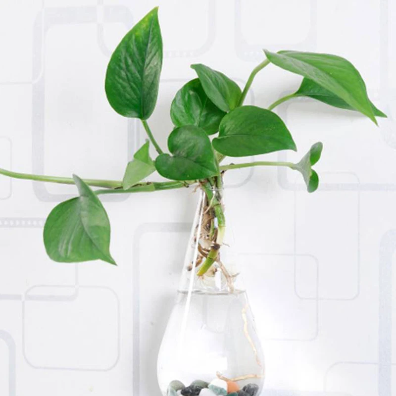 Стеклянная ваза для цветов Terrarium 10*18 см настенные прозрачные вазы в виде капель