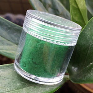 Tender green 12 24 цвета, 10 мл/бутылка, Декоративный Лак, стекло, для ногтей, искусство, сделай сам, советы, дизайн, бархат, стекающаяся пыль, порошок, маникюр, бархатная пудра - Цвет: Tender green 12