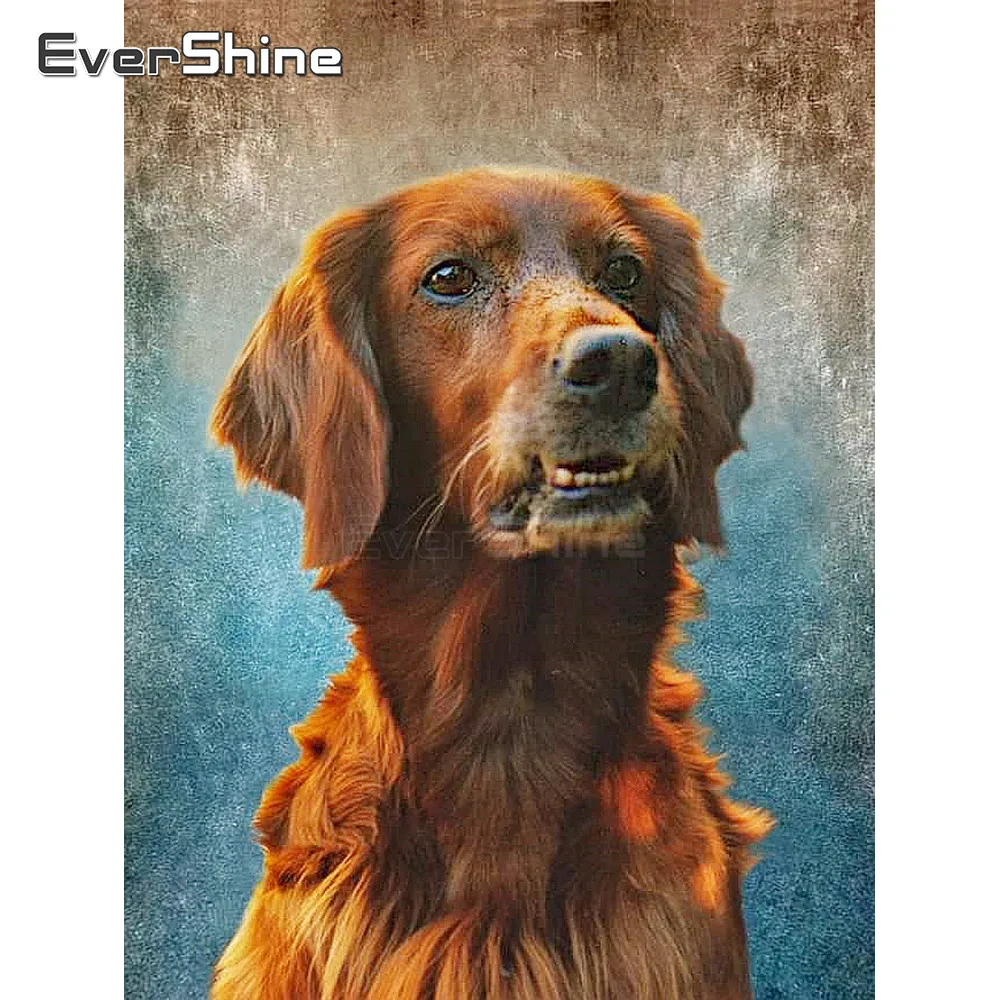 EverShine Алмазная вышивка Стразы собака DIY картина Полная площадь Животные