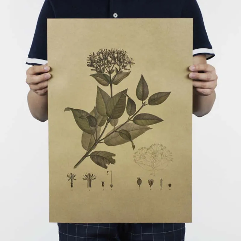 Плакаты и принты/ВИНТАЖНЫЙ ПЛАКАТ украшение для исторической барной стойки