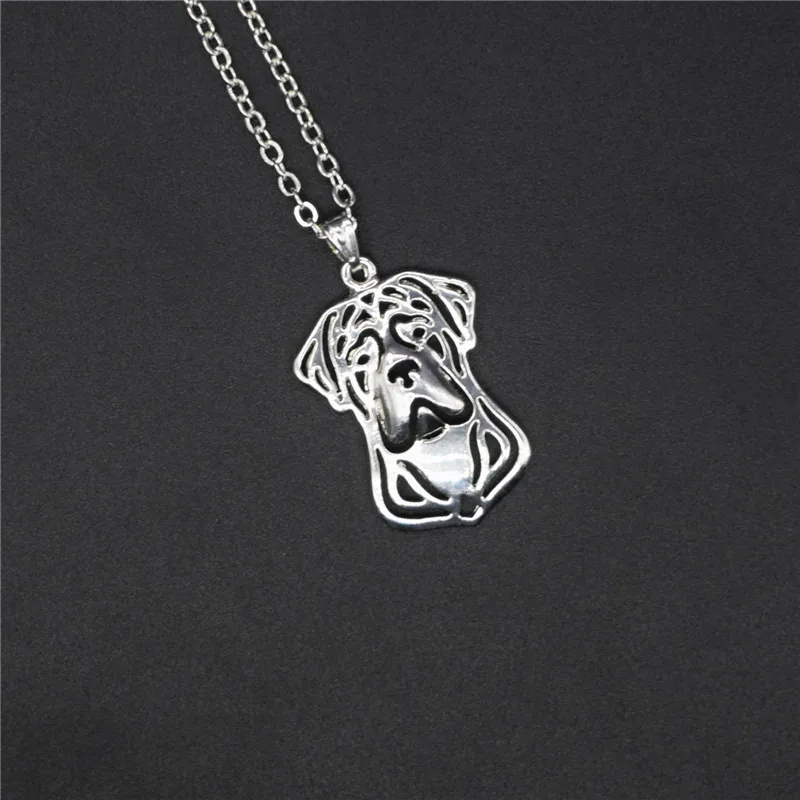 Elfin трендовые ожерелья из тростникового Корсо золотого цвета серебряного