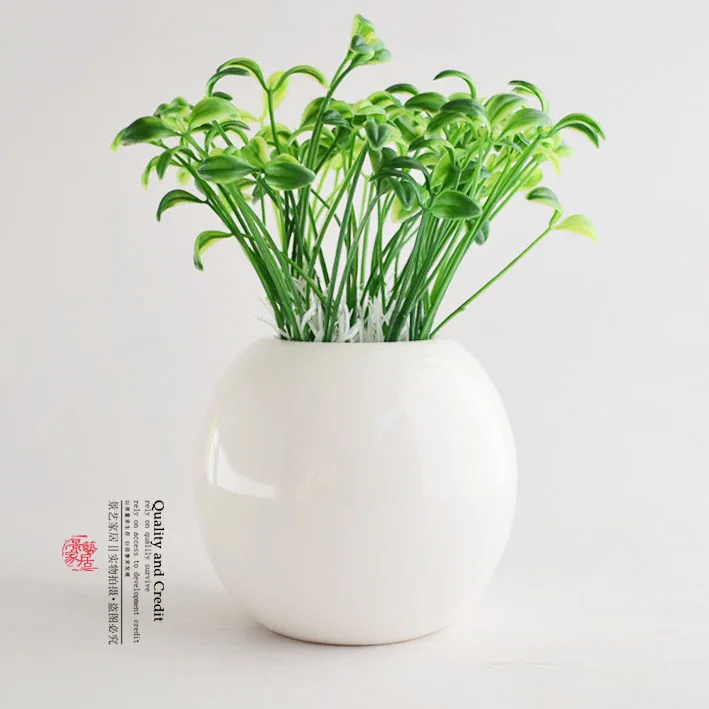 Моделирование ростков фасоли мунг/саженцев мунг/ростков цветов вставленных