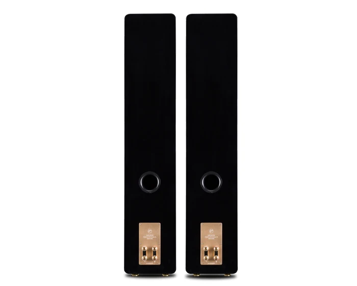 HIVI Swans RH6HT Система домашнего кинотеатра главный HiVi RH6F центр Surround RH6R передний