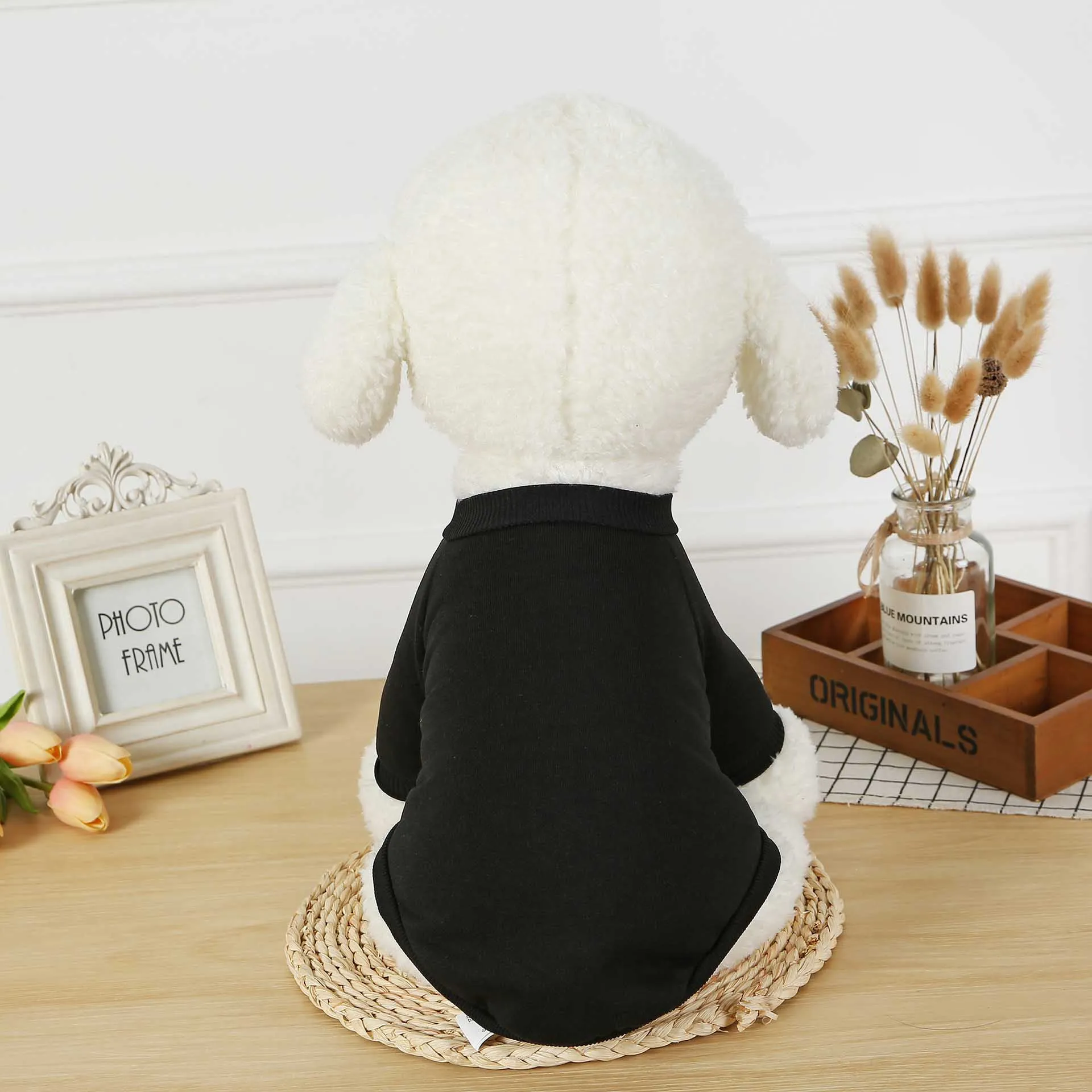 Black Petshy одежда для маленькой собаки щенок кошка удобный однотонный Хлопок Весна Осень Одежда Футболка Домашние животные наряд свитер для йоркширского терьера - Цвет: Black