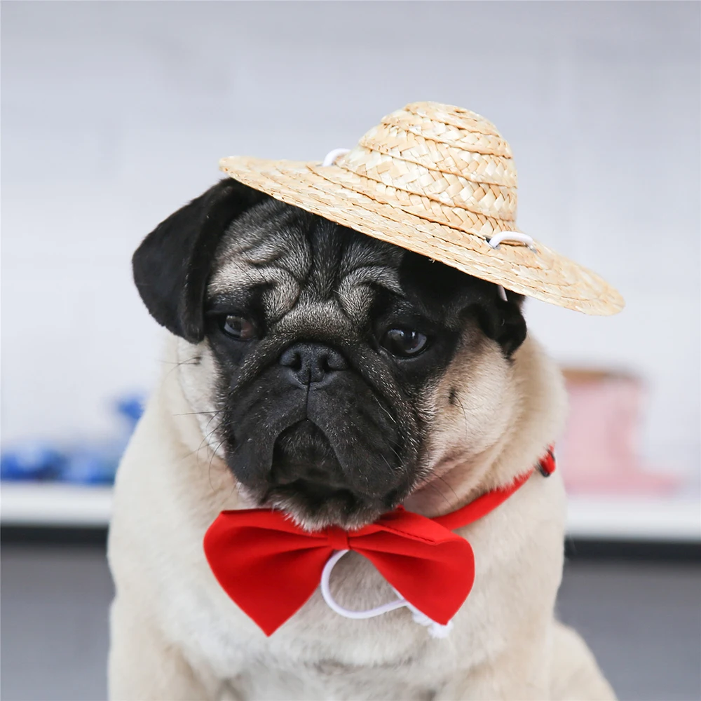 1pcs Straw Hat Pet Dog Cat Party Costume Accessory Adjustable Buckle Doggy Puppy Fashion Holiday Beach Style | Дом и сад